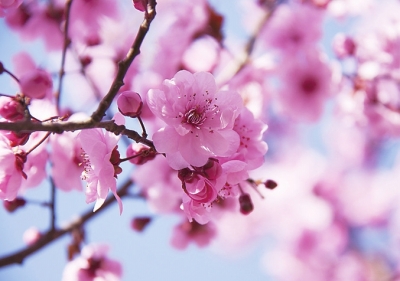 1553737626764091441.jpg 南阳3.jpg