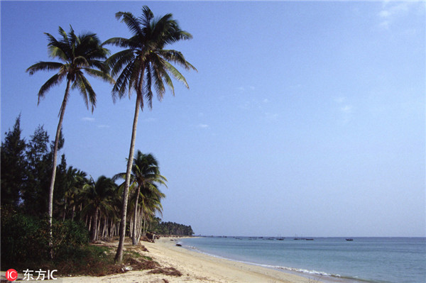 1543907935761039071.jpg 5c054dffa310eff3690946e7_副本.jpg