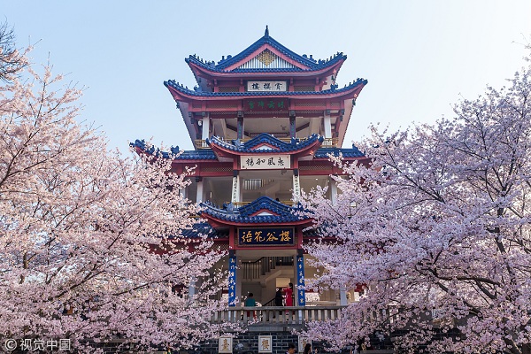 1554165948001009286.jpg 鼋头渚2.jpg