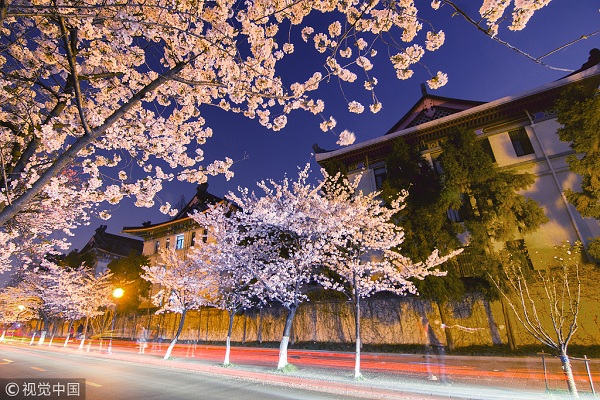 1554166062782017773.jpg 鸡鸣寺1.jpg