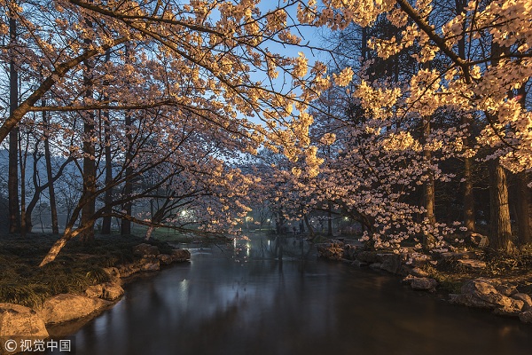 1554166116124098050.jpg 太子湾1.jpg