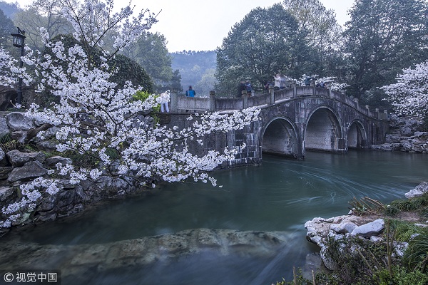 1554166150000007671.jpg 太子湾2.jpg