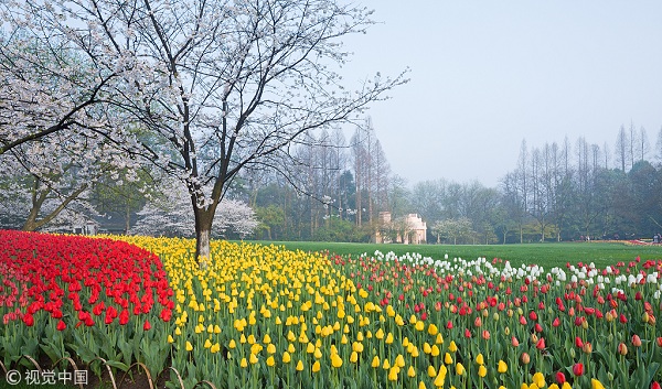 1554166170155088359.jpg 太子湾3.jpg