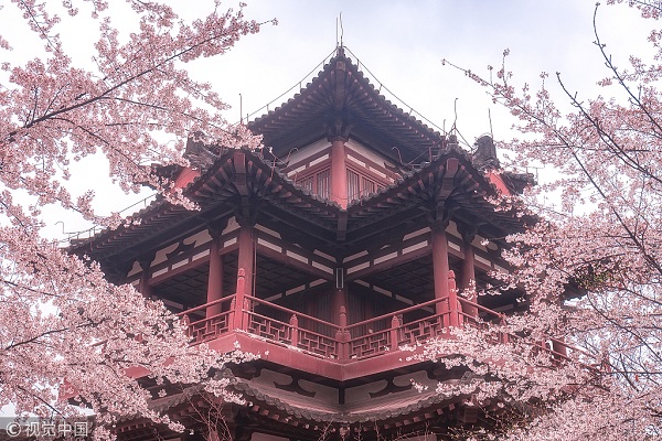 1554167822379046442.jpg 青龙寺1.jpg