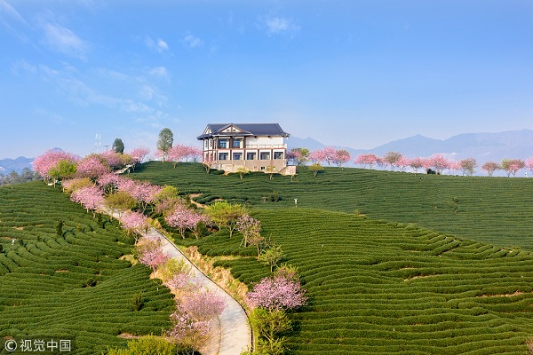 1554167902935035580.jpg 永福1.jpg