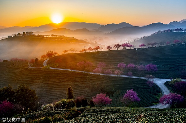 1554167935139078649.jpg 永福2.jpg