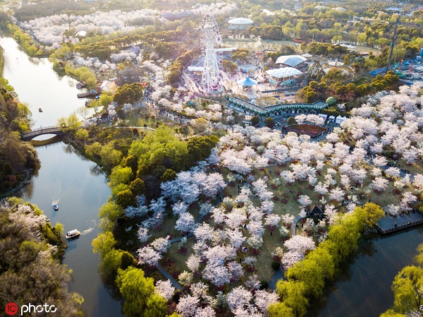 1554167981980046318.jpg 顾村1.jpg