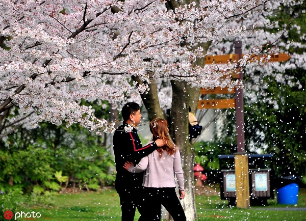 1554168012698025240.jpg 顾村2.jpg