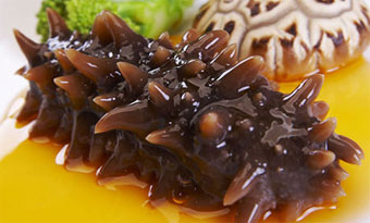 Sea cucumber (海参/Hai Shen)