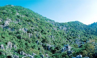 Sanqu Stone Forest
