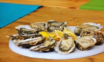 Shenzhen oyster 深圳生蚝 shenzhenshenghao