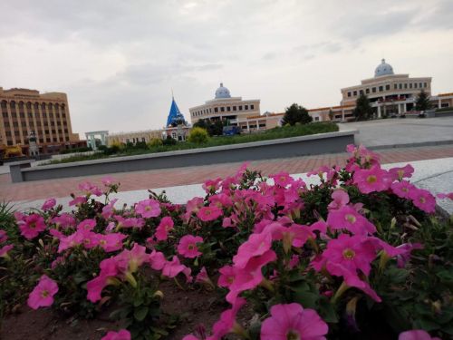 1549161943115065456.jpg 满洲里中俄互市贸易区.jpg