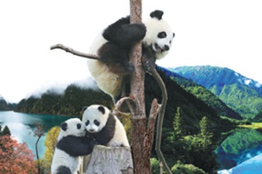 Panda museum shares French connection
