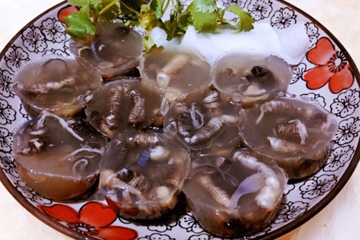 Tusun Jelly (土笋冻 tusundong)