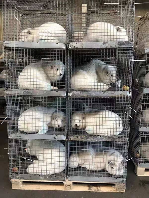 1518331211888066580.jpg 286ed488c7fb1bc1426703.jpg