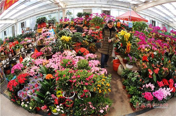 1518166435975093478.jpg 01.jpg