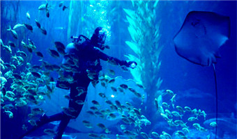 Qingdao Underwater World
