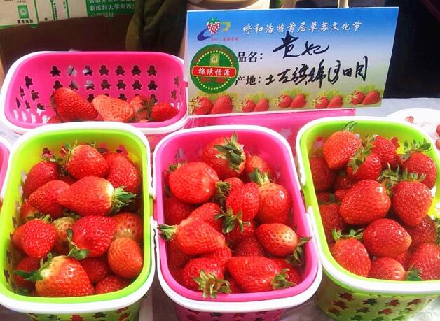 1520557689123027148.jpg kk.jpg