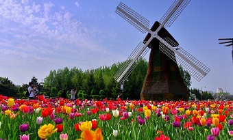 Discovering Changchun’s 10 vivifying cultural parks in spring (2)