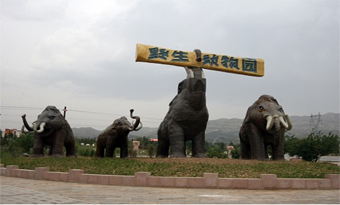 Daqingshan Wildlife Park