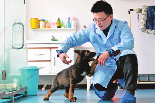 克隆警犬 (kèlóng jǐngquǎn): Cloned police dog