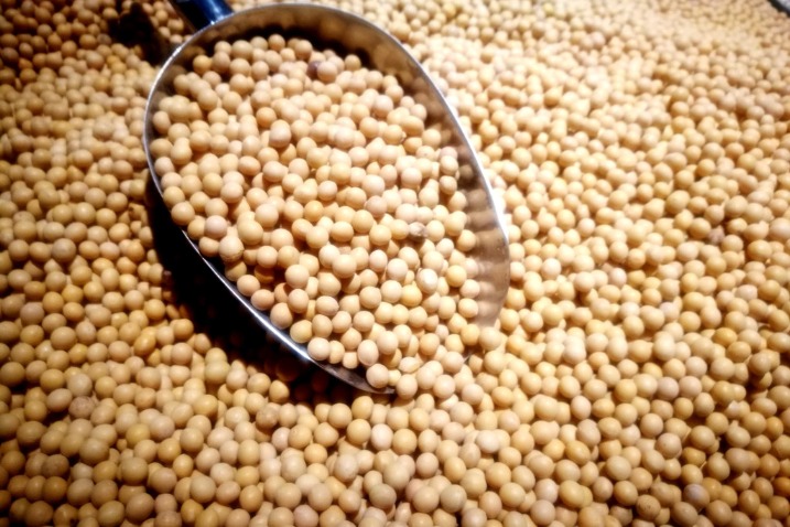 大豆振兴计划 (dàdòu zhènxīng jìhuà): Plan to rejuvenate soybean farming