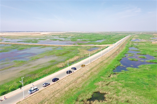 1561104572598056970.jpg res01_attpic_brief (3).jpg