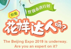 Are you an expert on Beijing Expo 2019?