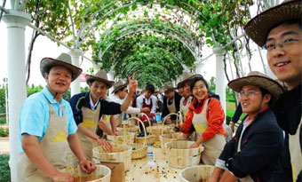 Changyu invites you to a grape picking feast