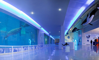 Ocean Aquarium of Penglai