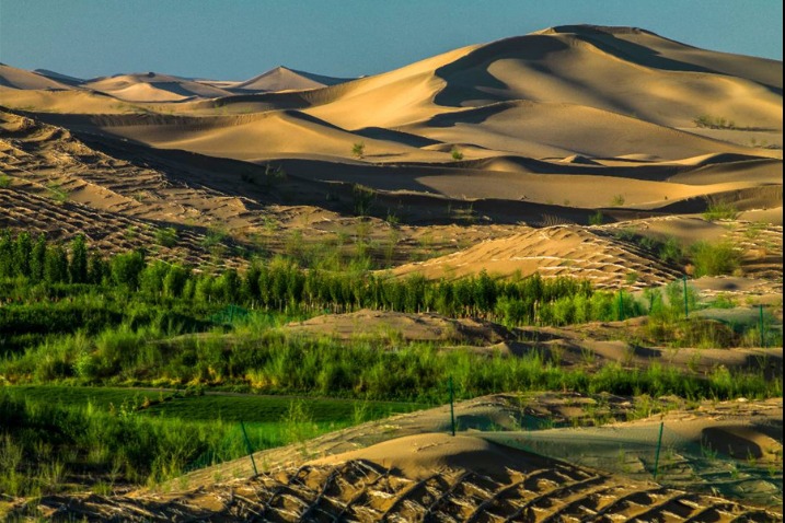 Inner Mongolia to spur innovation in efforts to combat desertification