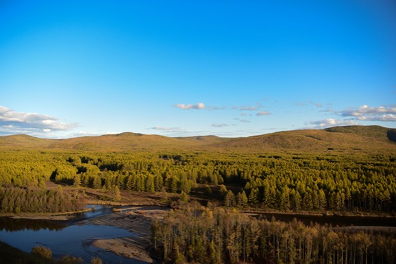 Inner Mongolia adds 17 mln hectares of forest area over 70 years