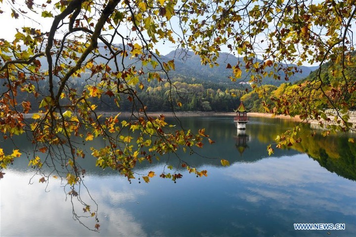 Scenery of Lushan Mountain scenic spot in E China's Jiangxi