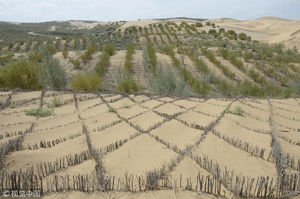 2018年7月21日，网格状的沙柳在沙漠上，起到固沙的作用。据悉，库布齐沙漠是中国第七大沙漠，位于内蒙古西南的鄂尔多斯市，是离北京最近的沙漠，总面积约1.39万平方公里。经过30多年来几代治沙人的努力，库布齐沙漠近三分之一面积得到治理，生态资源逐步恢复，并逐渐形成沙漠旅游、食品的产业链。 刘文华(内蒙古分社)中新社视觉中国.jpg