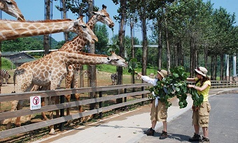 Dalian Forest Zoo