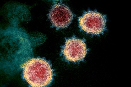 Myth buster: 10 rumors about novel coronavirus