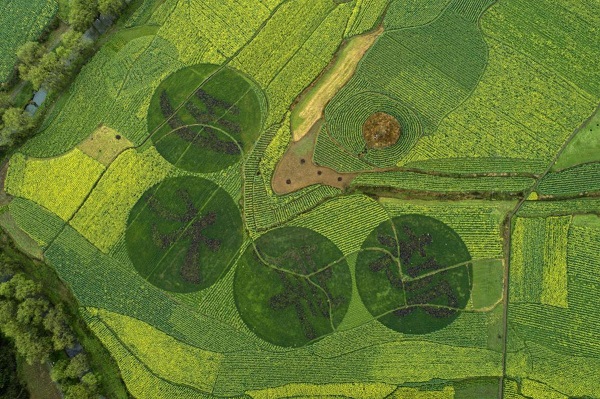 1583825084352094686.jpeg 5e622118a310128206594eb3.jpeg