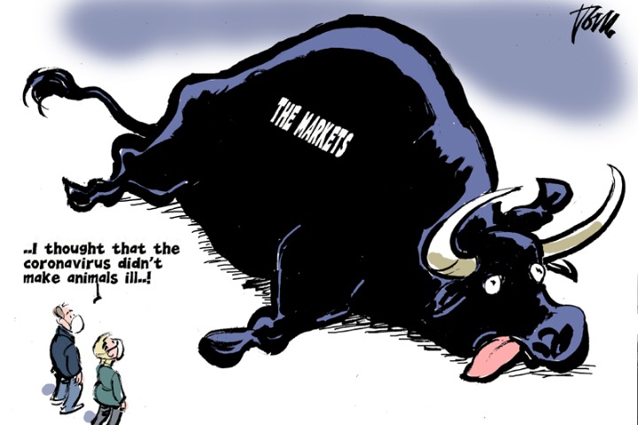 The bull is dead