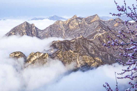 Jiankou Great Wall: A fairyland after spring snow