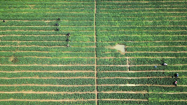 1585034910548067057.jpeg 5e796db8a310128206614239.jpeg