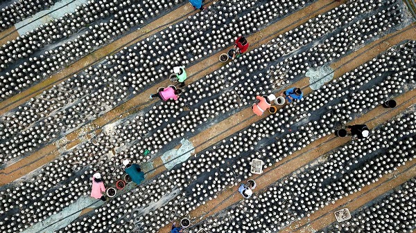 1585034917893028191.jpeg 5e796db8a31012820661423b.jpeg