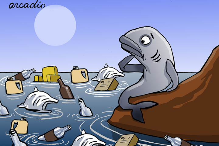 Sea pollution