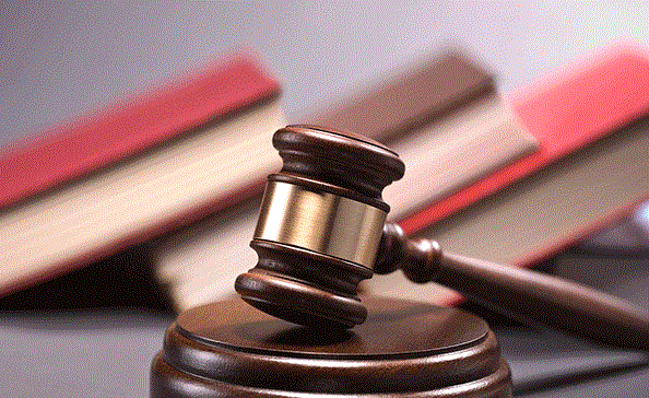 Prosecutors handle more public interest litigation cases in 2020