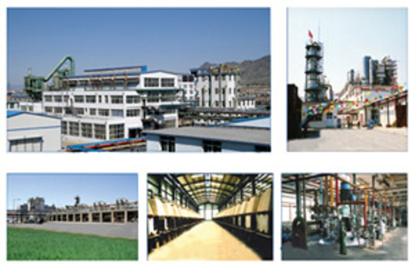1532683842255050413.png Inner Mongolia Sanlian Chemical Group.png