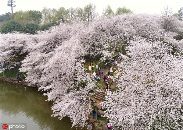 1554356618225093429.jpg 湖南森林植物园_副本.jpg