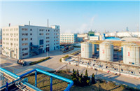 Flomin (Qingdao) Chemical Co Ltd