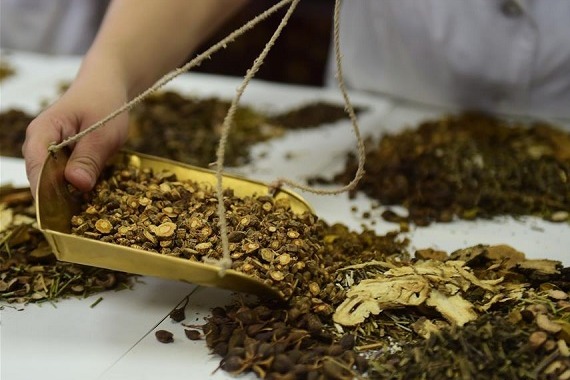 China promotes traditional Chinese medicine culture