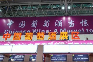 First China (Ningxia) International Wine Culture and Tourism Expo opens