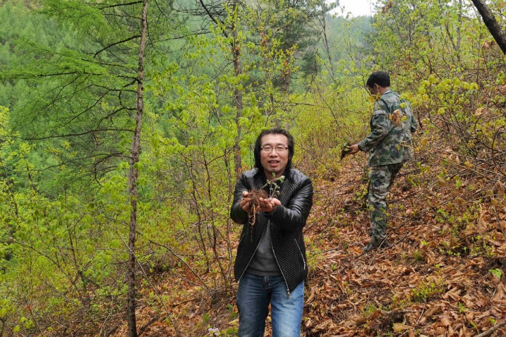 Jilin man seeks growth of herbs, area tourism