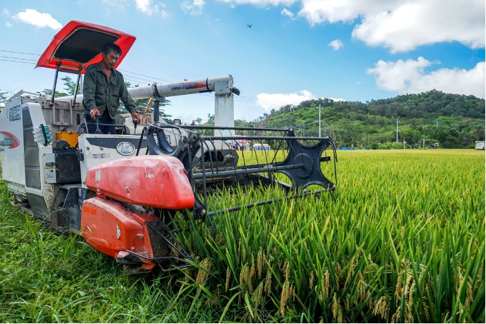 Tropical agriculture booming in Hainan